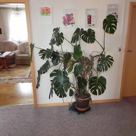 Ferienunterkuenfte Schulz 홈스테이 제바트헤링스도르프