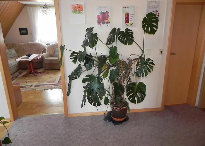 Ferienunterkuenfte Schulz Alloggio in famiglia Heringsdorf (Usedom)